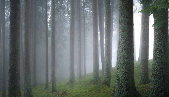 A Magical Family Hike