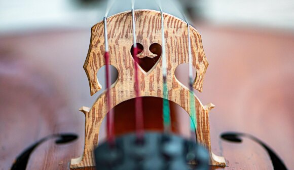 Concert with cello and organ