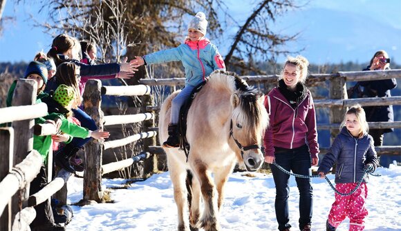 Children's program: Farm afternoon