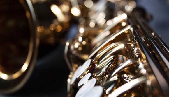 Jazz, du hast die Gans gestohlen