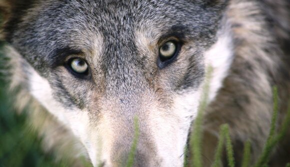 Inaugurazione della mostra temporanea