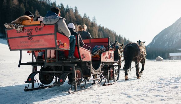 Gita in carrozza trainata da cavalli