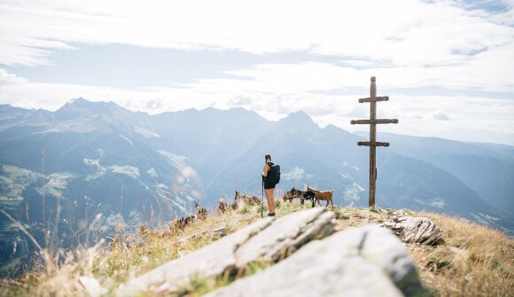 Summit Tour - Hochwart