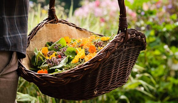 Marteller Kräuter-Workshop