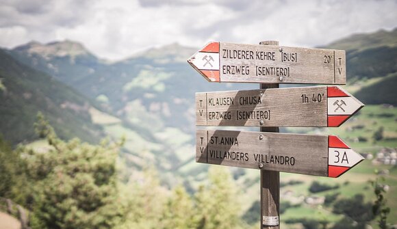 Risveglio di primavera