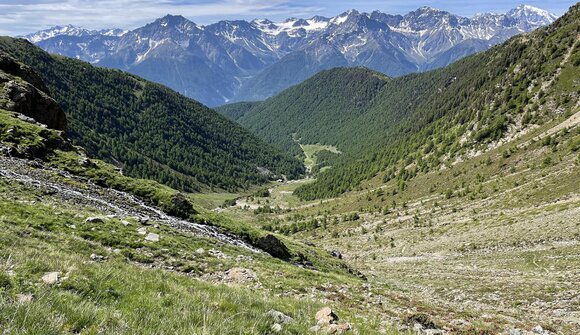 Panorami da scoprire – Rauschegg