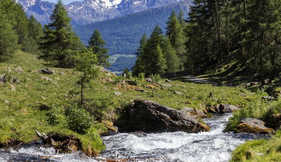 Su sentieri tranquilli – escursione