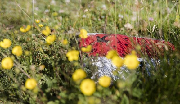 Escursione naturalistica