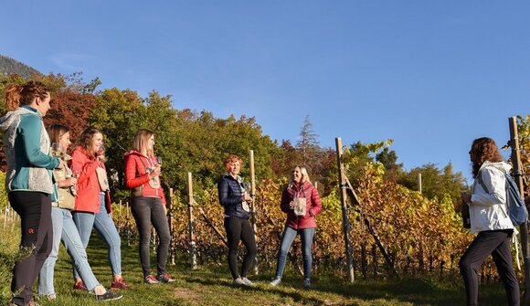 Esplorazione Vitivinicola a Cortaccia