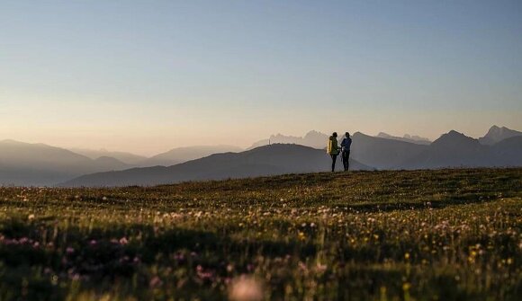 Guided walk – Towards the sun
