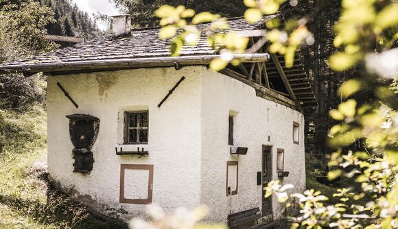 Village Tales & Forest Myths