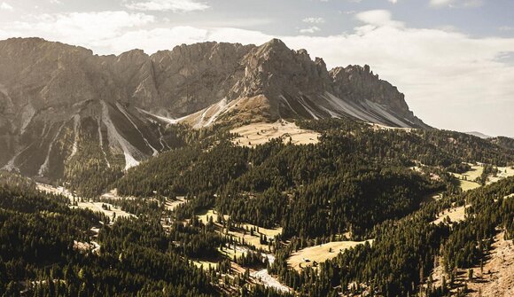 Achtsamkeitswanderung - Zirbelkieferweg