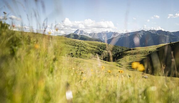 Herbs and stories of the Lüsen Mountains