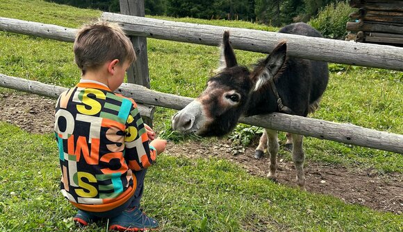 AktivCamp for kids