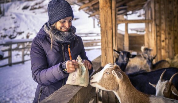 Tiere, Stall & Warme Herzen