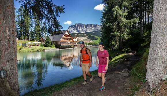 Wanderung: die Ruhe des Waldes