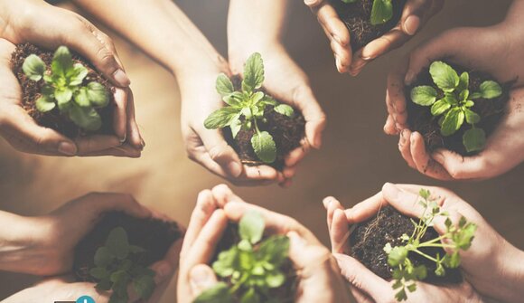 Workshop: Nachhaltiges Gärtnern