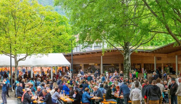 Asparagus festival in Terlano