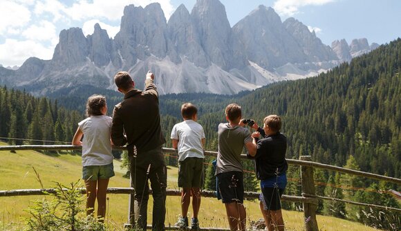 Dolomiti Ranger