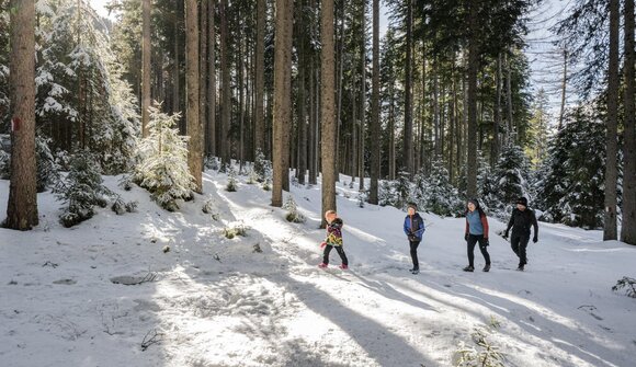 Winter hike - Moarhof hut
