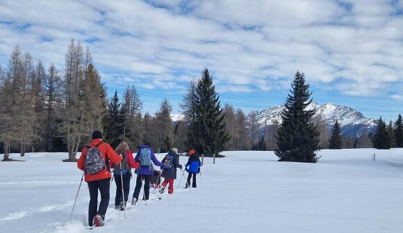Schneeschuhwanderung für Einsteiger