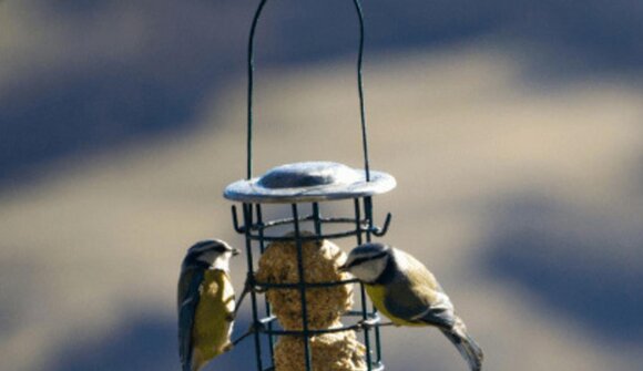 Film documentario “Lungo il sentiero”