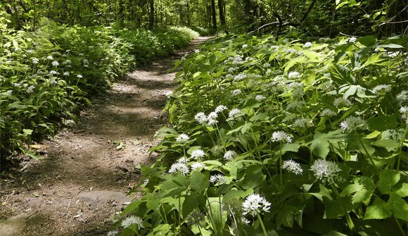 Kleine Genusswanderung