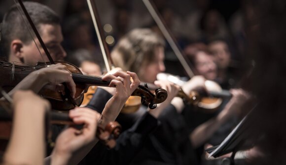 Haydn - Mario Brunello