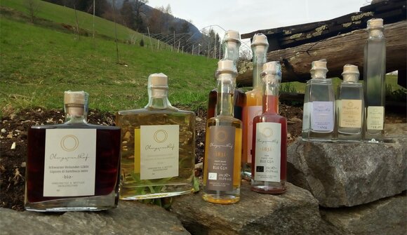 Tour of the organic distillery