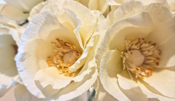 Workshop bambini: La primavera è qui!