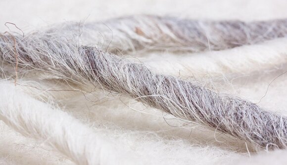 Hausapotheke: Kräuter & Bergschafwolle