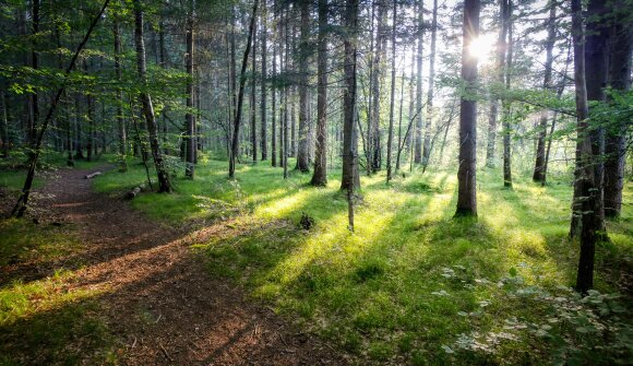 Oltre la tregua: Passeggiata panoramica