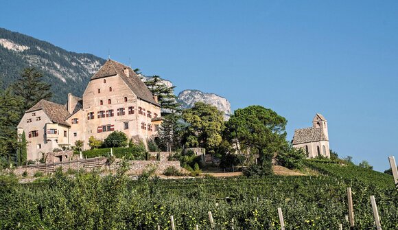 Wein - Berg hautnah erleben