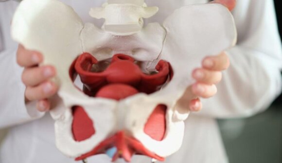 Medical Coaching - Pelvic Floor