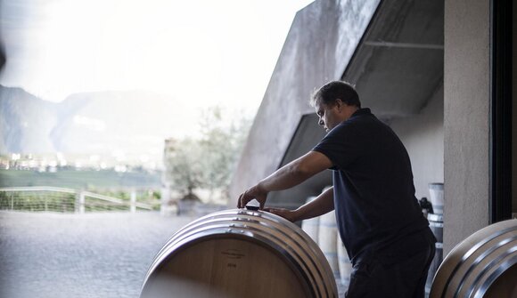 Live in the wine cellar