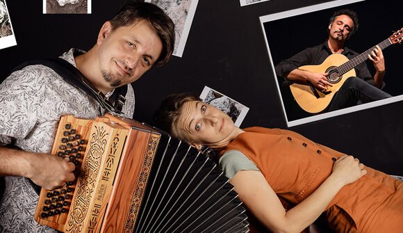 Steinegg Live - Verwurzelt & versteinert