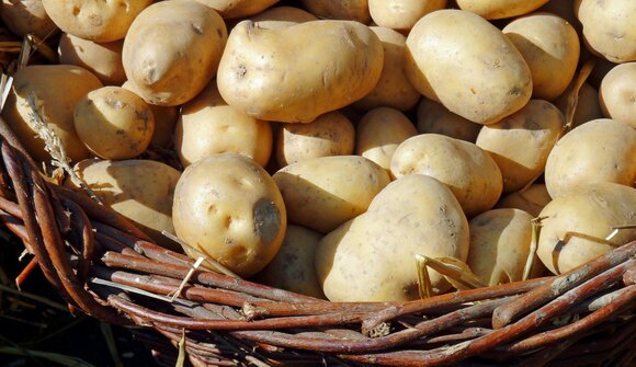 Aspettando le Teragnóle