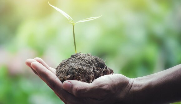 Nuove scoperte sulla biodiversità