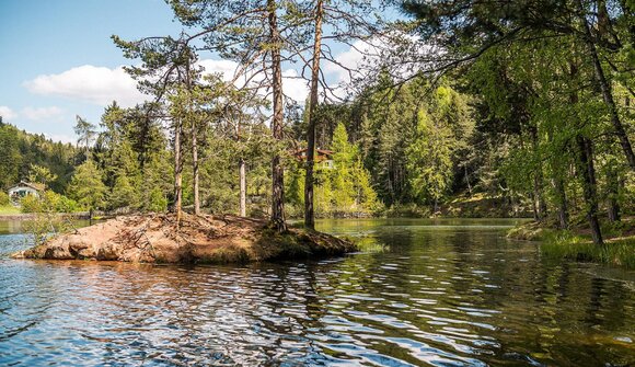 Spring on the sunny high plateau