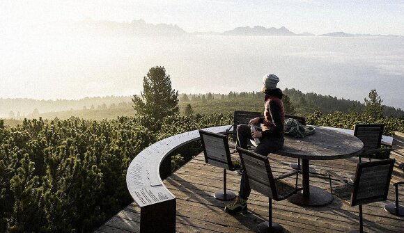 Escursione alle erbe sul Renon