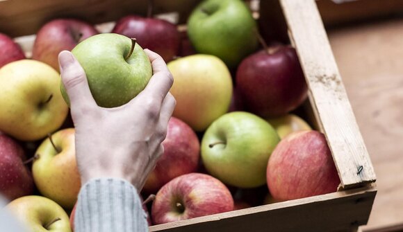 Apple sommelier tasting