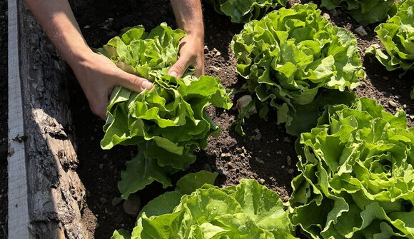 Easy Farming – Über die Wiese zum Acker