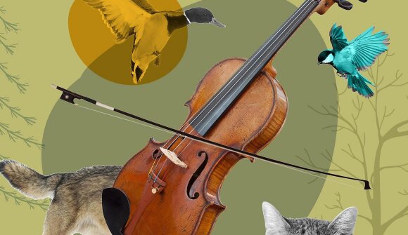 Haydn: Pierino e il lupo