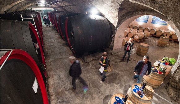 Virtueller Weinwandertag - Ritterhof