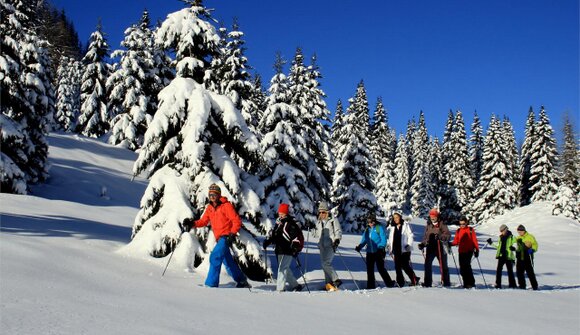Schneeschuhwanderung