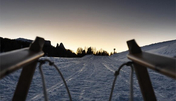 Sledding with hut-dinner