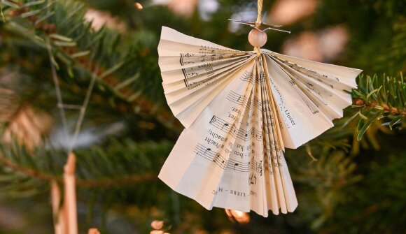 Create something new from old books