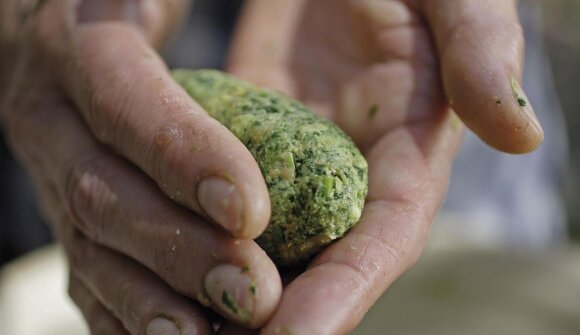 Corso di cucina: Sapori della primavera
