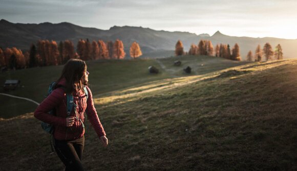 Dalla Croda Rossa al Passo Monte Croce