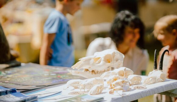 Stand informativo del Parco Naturale